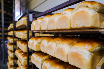 Loafs of bread in a bakery on an automated conveyor belt