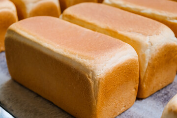 Loafs of bread in a bakery on an automated conveyor belt