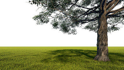 Fototapeta premium A 3d rendering image of a big tree placed grass field.