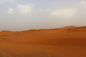 Fototapeta na wymiar Sand dunes in the Erg Chebbi desert in Morocco