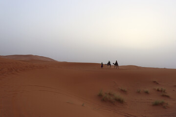 Fototapeta na wymiar People riding a dromedary in the desert of Merzouga (Morocco)