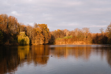 Fototapeta premium Autumn landscape in the park. Sunny weather. Fall season.