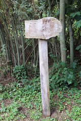 Wegweiser.  Holzschild.
