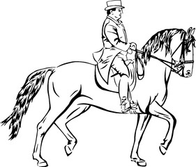 Baroque dressage horse, black outline vector illustrations 