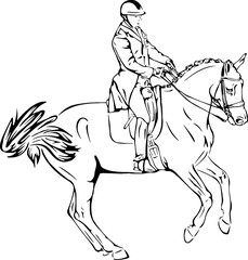 Fototapeta na wymiar Dressage horse in competition, outline vector design 