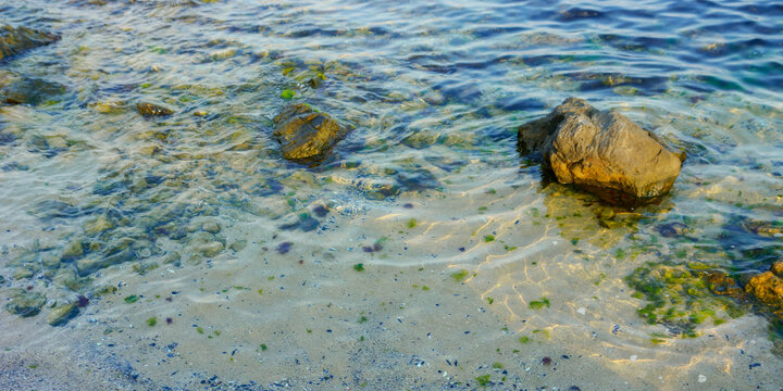 stones and seaweed at the sea shore. nature background on the sandy beach. calm water texture in morning light