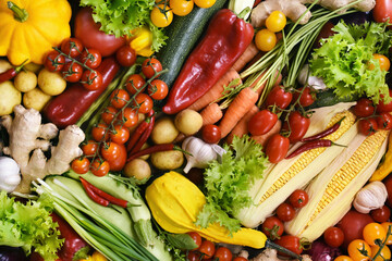 Fresh ripe colorful vegetables from market, summer or autumn farm harvest background, healthy diet vegetarian food