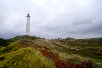 white lighthouse Lyngvig Fyr in a beautiful dune landscape with a sandy trail at a cloudy day, Hvide Sande, Søndervig, Ringkøbing, Denmark