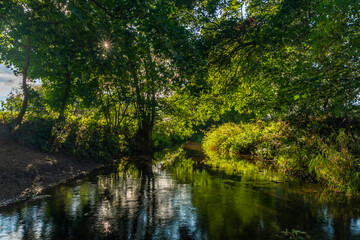 Fototapeta na wymiar Rakovnicky creek with color trees and yellow sunny color