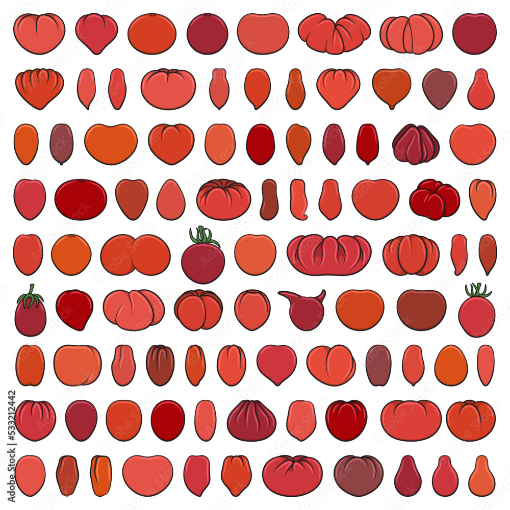 Poster set of color illustrations with red tomatoes. isolated vector objects on a white background.