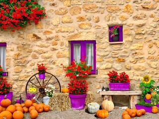 Fototapeta na wymiar Beautiful pumpkin landscape with the flowers and a cozy sleeping cat