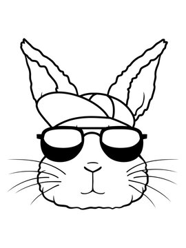 Sonnenbrille Capy Hase Cool 