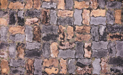 Old Brick block worms floor, brick background with sprouted grass background, pattern, texture                   
