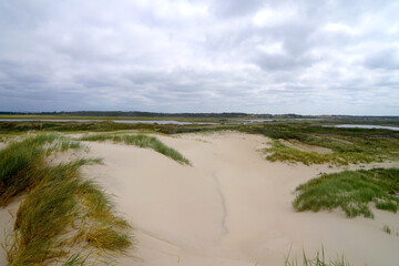 Fototapeta na wymiar view from the dunes on the danish north sea coast at Nymindegab inland over the trout lake nymindegab ørreddam