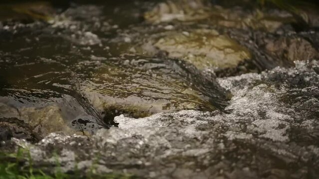 Clear stream running through stone boulders Abundant river flowing on stone bottom in slow motion. Wild mountain river water splashing in summer day. underwater bubbles.