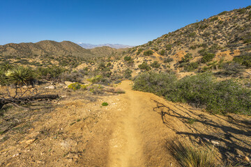 hiking the west side loop trail in black rock canyon, joshua tree national park, usa