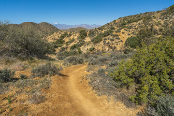 hiking the west side loop trail in black rock canyon, joshua tree national park, usa