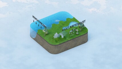 Water cycle 3d model 