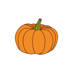 Pumpkin colorful doodle illustration in vector. Pumpkin colorful icon in vector