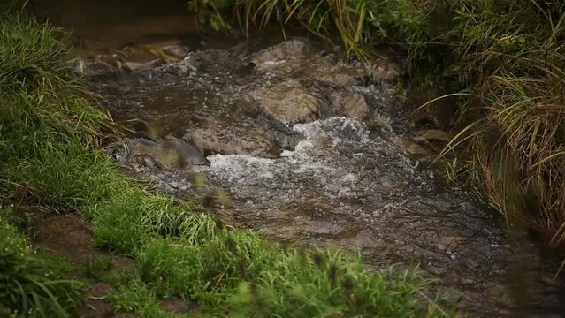 Mountain river. A clean stream flowing through stone blocks. The abundant river flows on the stone bottom at a slow pace. Wild mountain river water splashing on a summer day.