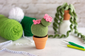 knitted crochet plants (cactus)