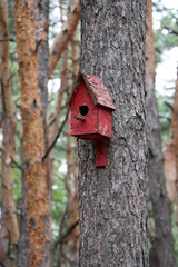 birdhouse on a tree