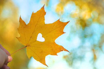 Autumn leaf heart on the background of the sky. Selective focus.