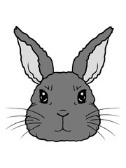 Niedlicher kleiner Hase Gesicht 