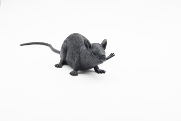 Black novelty toy rat facing you on a white background.