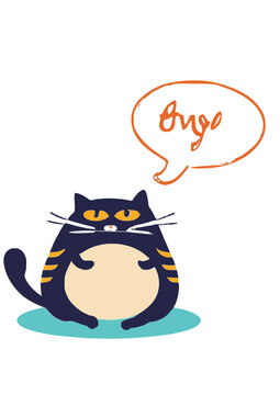 Nice chubby kitty