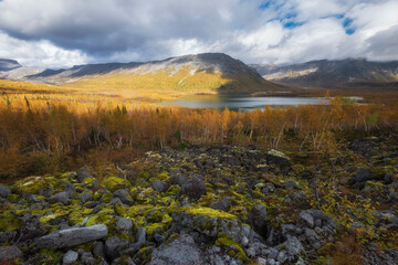 Golden autumn in the Arctic mountains beyond the Arctic Circle. View of a beautiful lake and yellow...