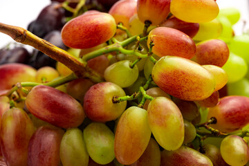 Ripe juicy grapes. different grape varieties. Bunch of grapes background