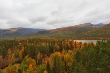 Golden autumn in the Arctic mountains beyond the Arctic Circle. view from above of a beautiful lake...