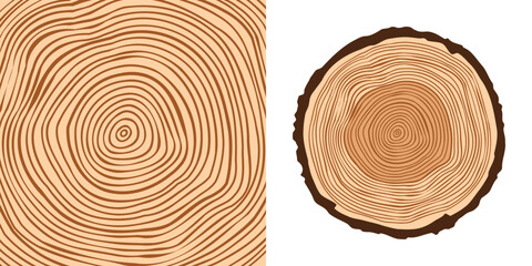 Round tree trunk cut, sawn pine or oak slice. Saw cut timber, wood. Brown wooden texture with tree rings. Hand drawn sketch. Vector illustration
