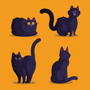 Cute Black Cat Icons or Symbols, Vector Set. Collection of Funny Looking  Cats Stock Vector - Illustration of symbol, icon: 259542309