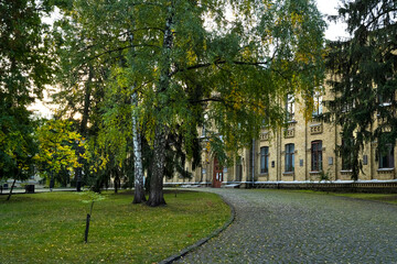 Fototapeta premium Evening park at dusk. Good city location. autumn season