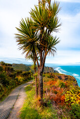 Fototapeta na wymiar Amazing views on coastal track hiking on mountain side at Mercer Bay, New Zealand