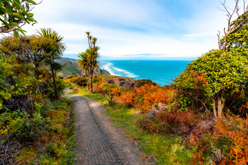 Amazing views on coastal track hiking on mountain side at Mercer Bay, New Zealand