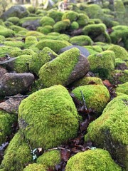 Green stones