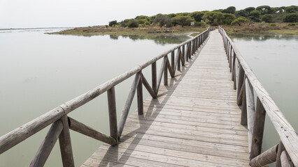 Naklejka premium Wooden bridge over the river Piedras. Natural Park. El Rompido. Huelva. Andalusia 