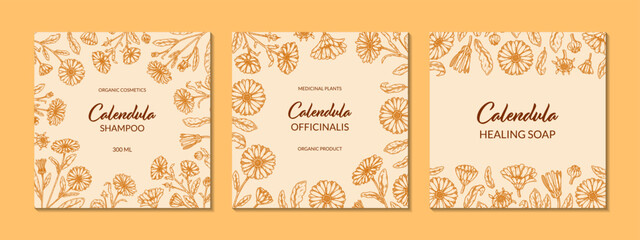 Set of calendula frames with hand drawn elements. Vector illustration in sketch style. Vintage packaging design