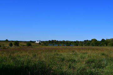 Field