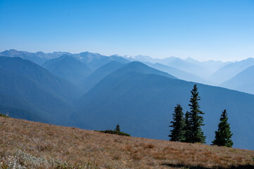 Mountains of Olympic National Park, Washington viewed from Hurricane Ridge Visitor Center on sunny...