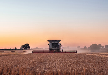 Combine harvester working in a wheat field at sunset