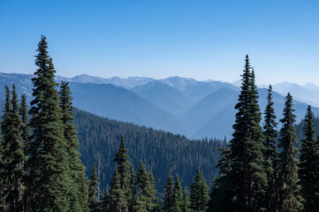 Mountains of Olympic National Park, Washington viewed from Hurricane Ridge Visitor Center on sunny autumn afternoon..