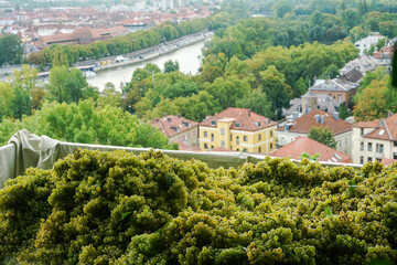 Chardonnay wine in the future - bunches of grapes in a truck and a view of the city of Würzburg...