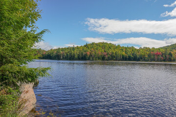 lake and forest