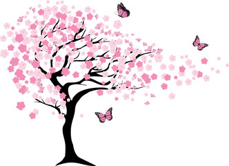 Cherry tree in blossom with butterflies.