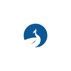 Fototapeta na wymiar Peacock icon logo illustration design