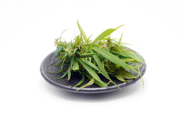 Cannabis flowers and leaves on black ceramic dishes isolated on white background. Marijuana 